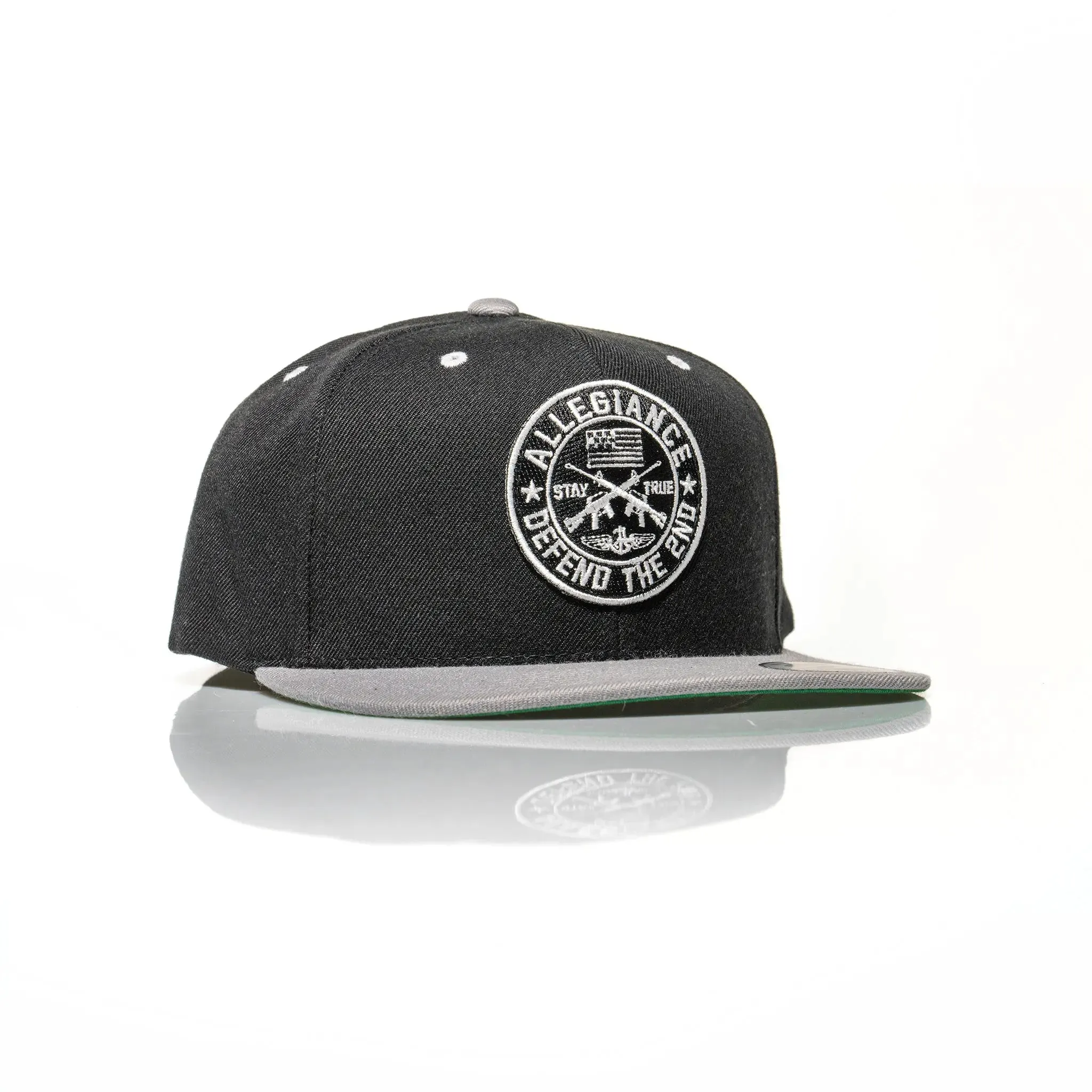 Defend the 2nd Snapback