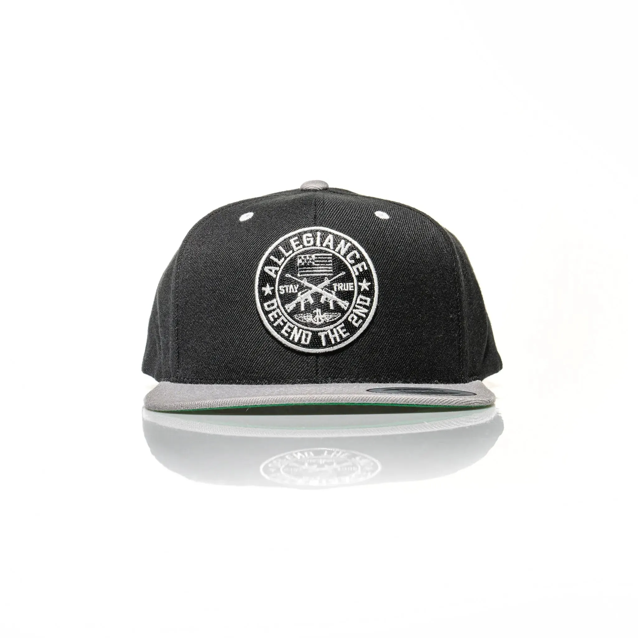 Defend the 2nd Snapback