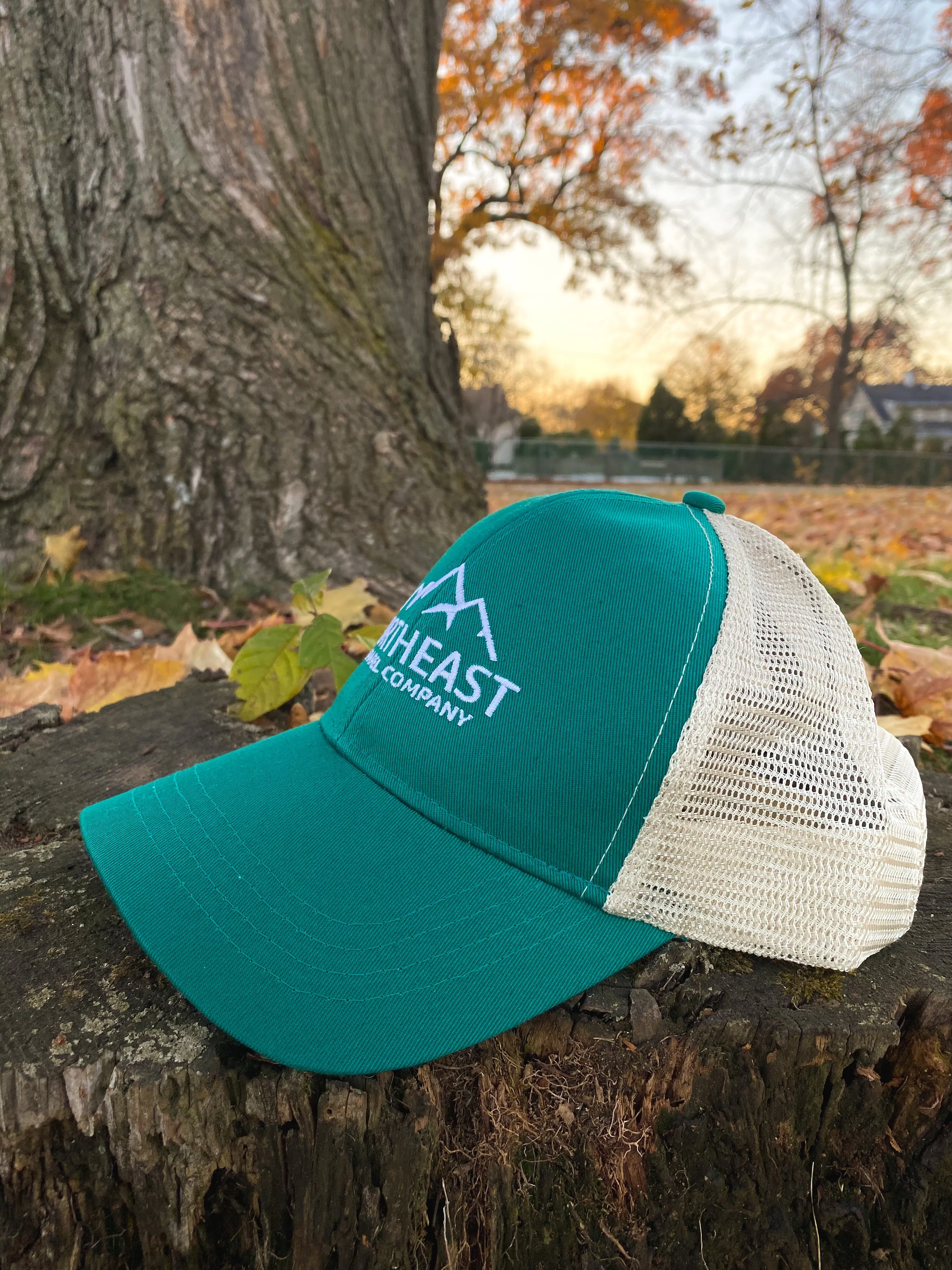Eco Trucker Hat - Classic Logo