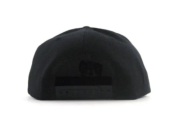 Mexico Crest Snapback Hat (Black Green Under Brim)