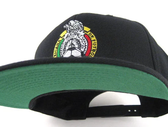 Mexico Crest Snapback Hat (Black Green Under Brim)