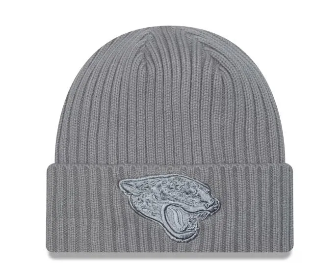 NFL Knit Colour Pack Grey Toque