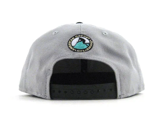 Worcester SHarks New Era 9Fifty Snapback Hat (AIR JORDAN RETRO 10 LIBERTY GRAY UNDERBRIM)